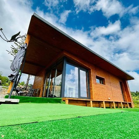 Sweet Escape Vladeasa Villa Rogojel Exteriör bild