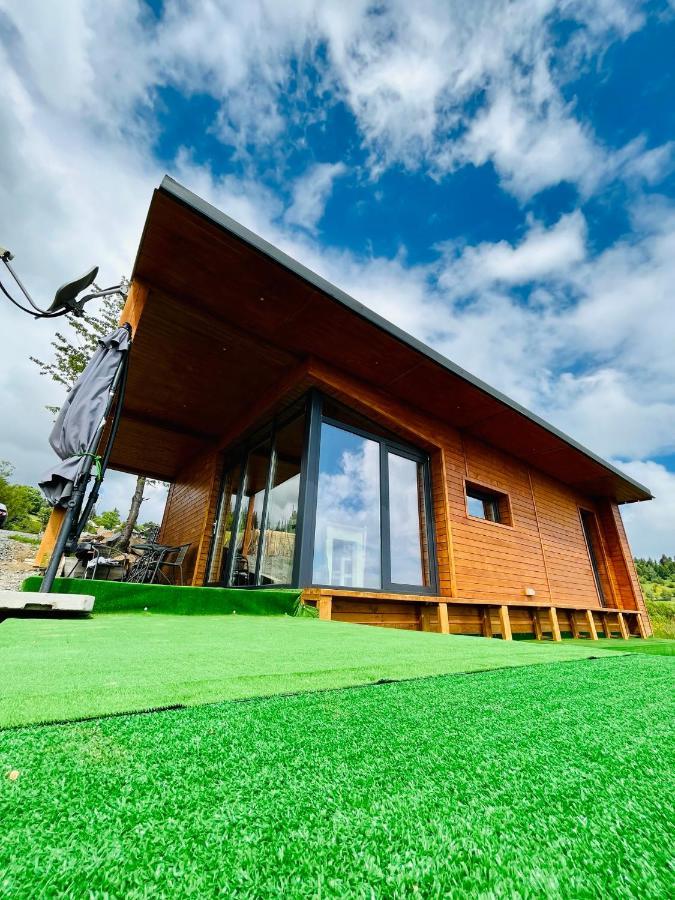 Sweet Escape Vladeasa Villa Rogojel Exteriör bild